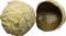 Lime truffle